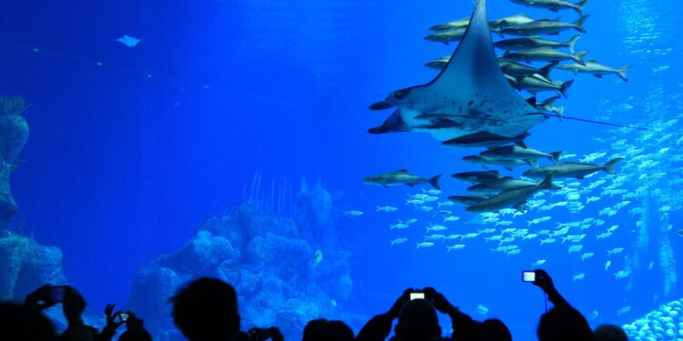 Quel est le deuxième plus grand aquarium d'Europe ?