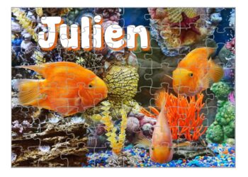 Quel est le jour de chance du poisson ?