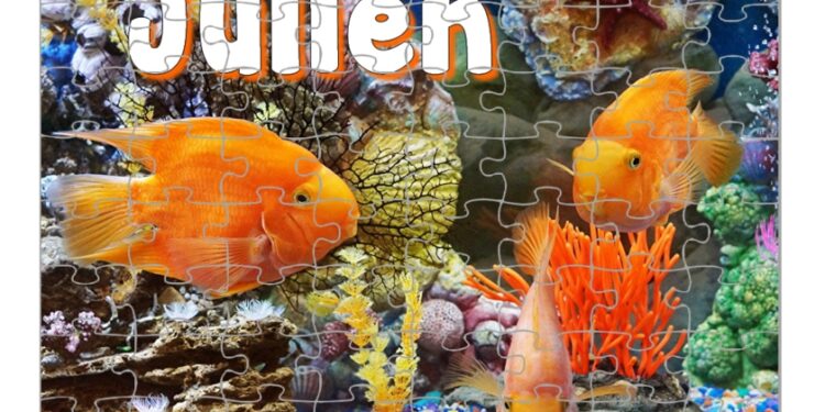 Quel est le jour de chance du poisson ?