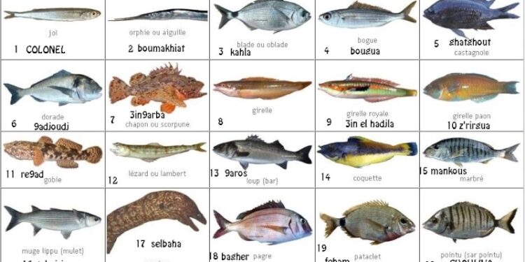 Quel est le jour de chance du poisson ?