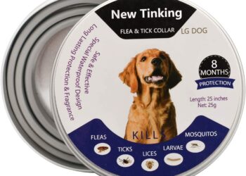 Quel est le meilleur Anti-puce et anti tique pour chien ?