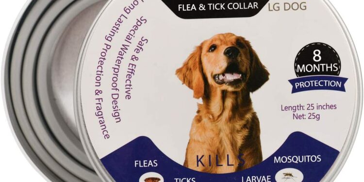 Quel est le meilleur Anti-puce et anti tique pour chien ?