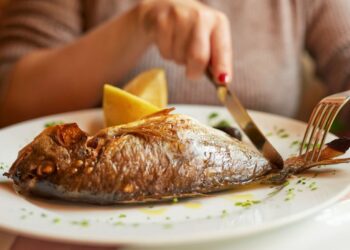 Quel est le meilleur aliment pour poisson rouge ?