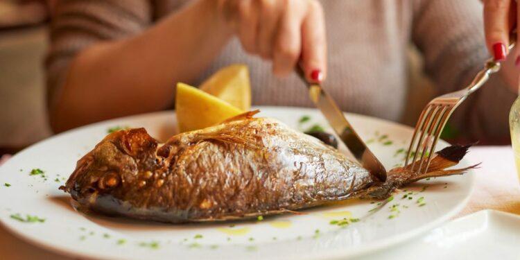 Quel est le meilleur aliment pour poisson rouge ?