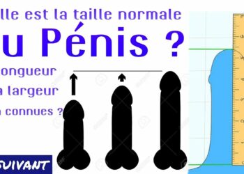 Quel est le meilleur aquarium pour débutants ?