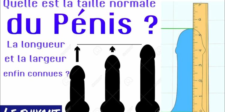 Quel est le meilleur aquarium pour débutants ?