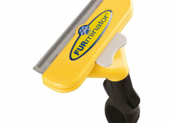 Quel est le meilleur aspirateur balai pour les poils d'animaux ?