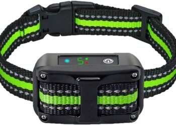 Quel est le meilleur collier Anti-fugue pour chien sans fil ?