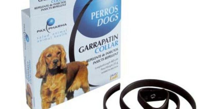 Quel est le meilleur collier anti puce pour chien ?