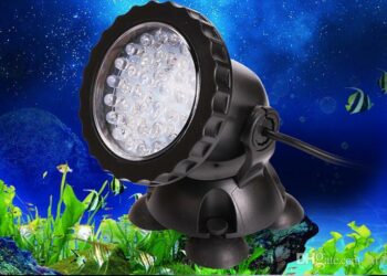 Quel est le meilleur éclairage pour un aquarium ?