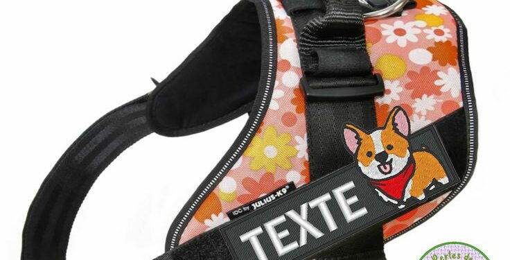 Quel est le meilleur harnais anti traction ?