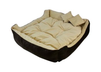 Quel est le meilleur lit pour un chien ?