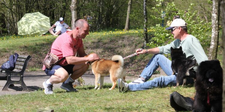 Quel est le meilleur parc à chiot ?