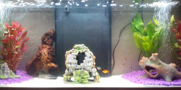 Quel est le meilleur sol pour aquarium ?