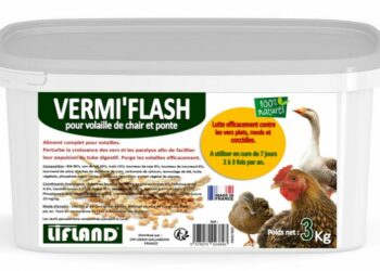 Quel est le meilleur vermifuge pour les poules ?