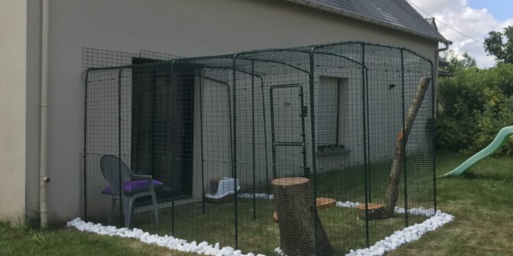 Quel est le mieux pour transporter un chat ?