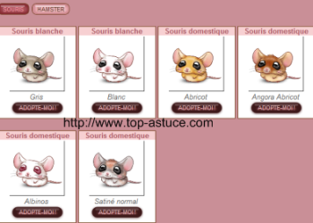 Quel est le nom le plus drôle ?