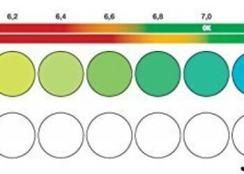 Quel est le pH de l'eau de pluie ?