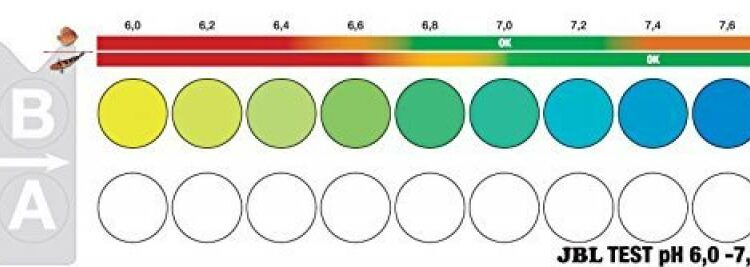 Quel est le pH de l'eau de pluie ?