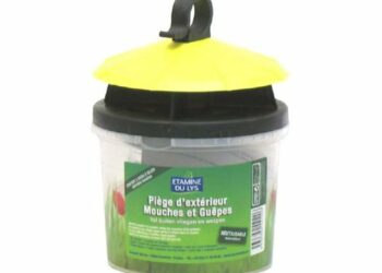 Quel est le piège à mouche le plus efficace ?