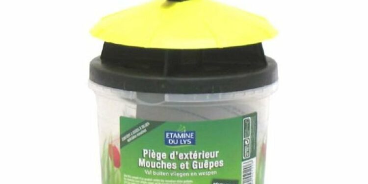 Quel est le piège à mouche le plus efficace ?