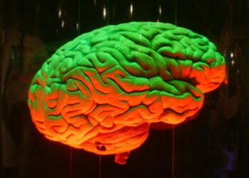 Quel est le plus grand nombre possible Brain Test ?