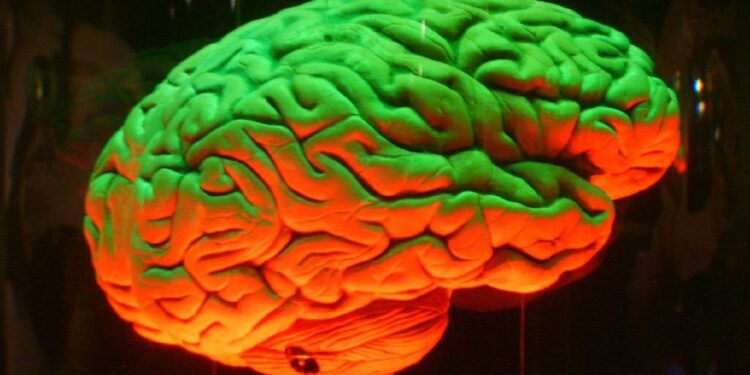 Quel est le plus grand nombre possible Brain Test ?