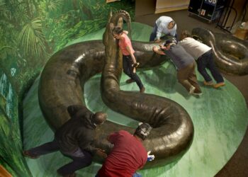 Quel est le plus gros serpent de tous les temps ?
