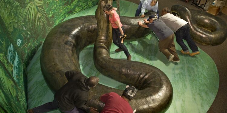 Quel est le plus gros serpent de tous les temps ?