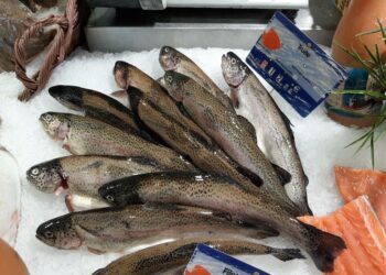 Quel est le poisson le moins bon ?