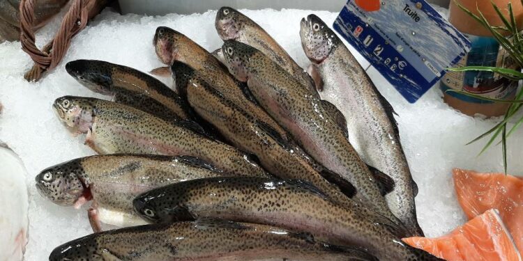 Quel est le poisson le moins bon ?