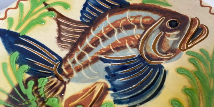 Quel est le poisson le plus coloré ?