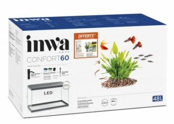 Quel est le poisson le plus résistant en aquarium ?