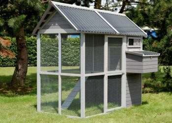 Quel est le poulailler idéal ?