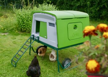 Quel est le poulailler idéal ?