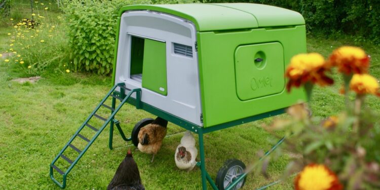 Quel est le poulailler idéal ?