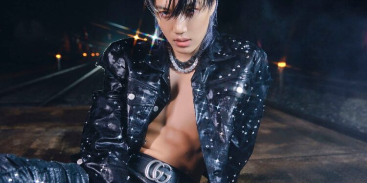 Quel est le prix d'un ticket de transport ?