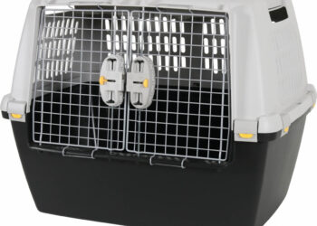 Quel est le rôle de l'IATA ?