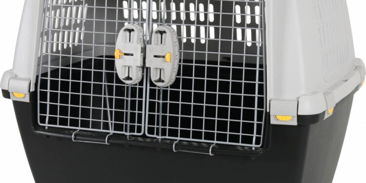 Quel est le rôle de l'IATA ?