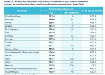 Quel est le rôle de l'IATA ?