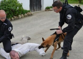 Quel est le salaire d'un maître chien ?