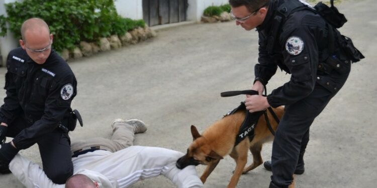 Quel est le salaire d'un maître chien ?