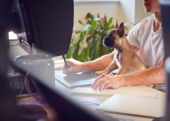 Quel est le salaire d'un maître chien ?