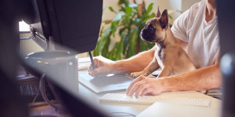 Quel est le salaire d'un maître chien ?