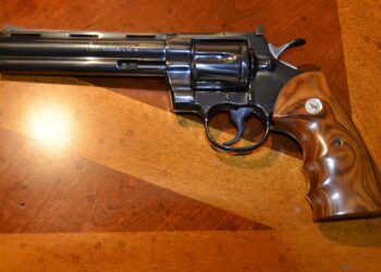 Quel est le serpent le plus dangereux ?