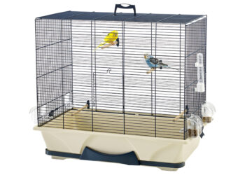 Quel est l'oiseau le plus affectueux ?