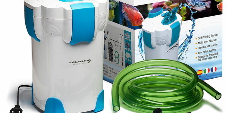 Quel filtre pour Guppy ?