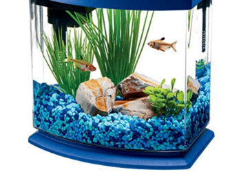 Quel filtre pour un aquarium de 40 litres ?