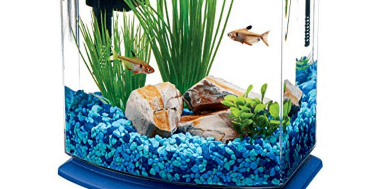 Quel filtre pour un aquarium de 40 litres ?