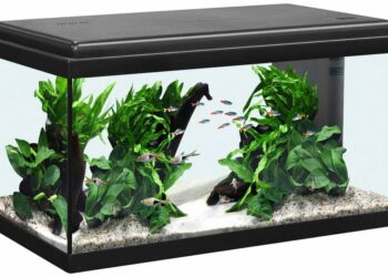Quel filtre pour un aquarium de 60 litres ?
